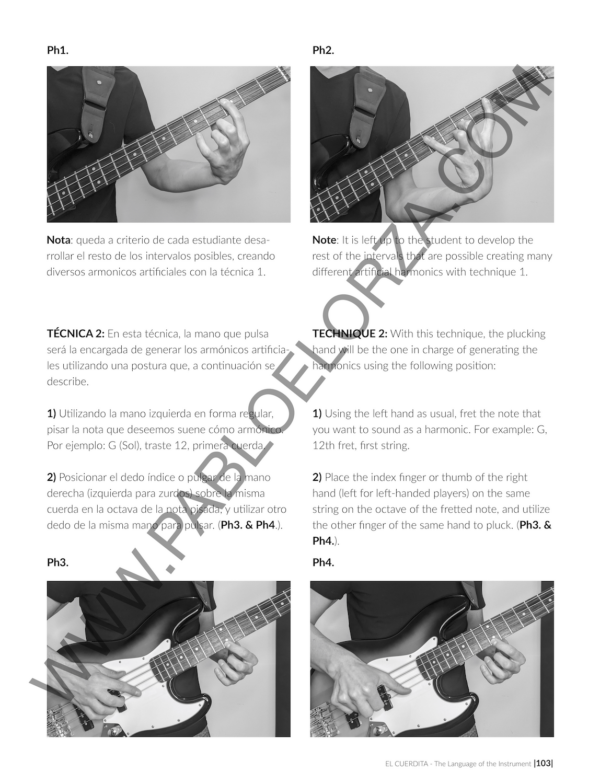 EL-CUERDITA-p5-01 EL-CUERDITA-p5-01